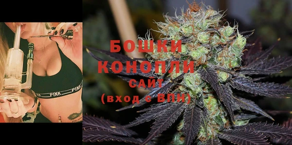 бошки Болотное