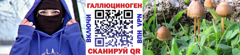 Галлюциногенные грибы Psilocybine cubensis  где купить наркоту  Ишимбай 